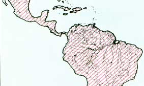 [Kaart voorkomen Iguana iguana]